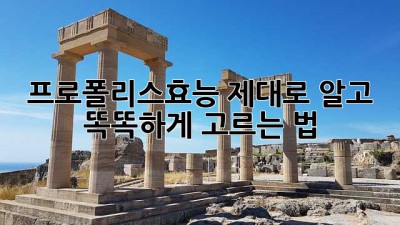 프로폴리스효능🍯 제대로 알고 똑똑하게 고르는 법!✨