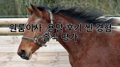 원룸이사 🚚 용달 후기: 찐 경험 & 솔직 평가 💯